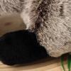 "badger Plush, Badger Simulation Animal, Jeff Doll, Wang Anshi Badger, Furry Doll, Home Decoration"