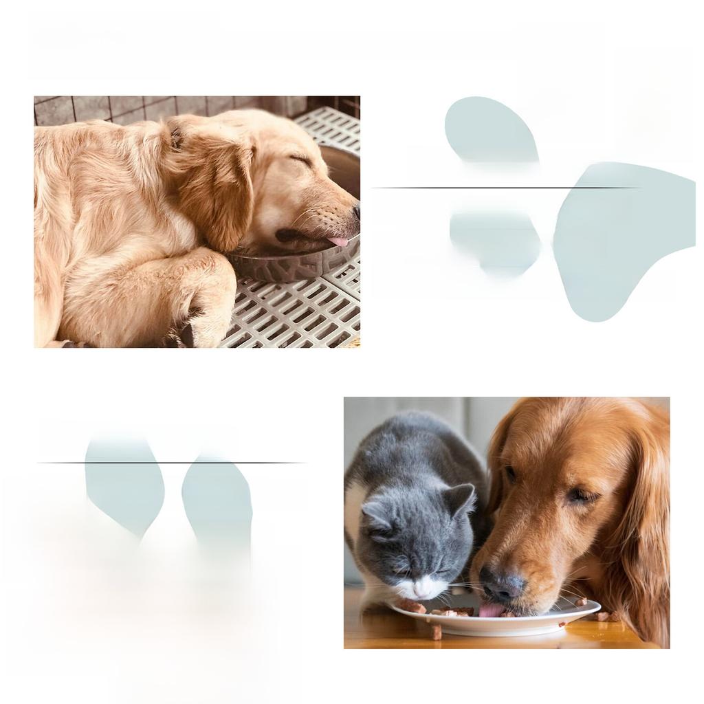 Ulei esențial pentru animale de companie Ulei natural pentru masaj pentru câini, pisici, îngrijire corporală, tratament de îngrijire, ulei terapeutic hidratant