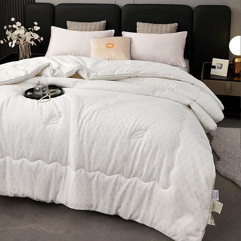 Tangna Milk Silk Cloud Winter Quilt