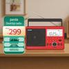 Panda Multi-Band Desktop Radio with Media Playback