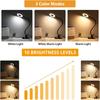 Clip On Light LED Reading Book Study Lamp 3 Color 10 Brightness Eye Protection 360° Flexible Gooseneck For Student Desk Lamp