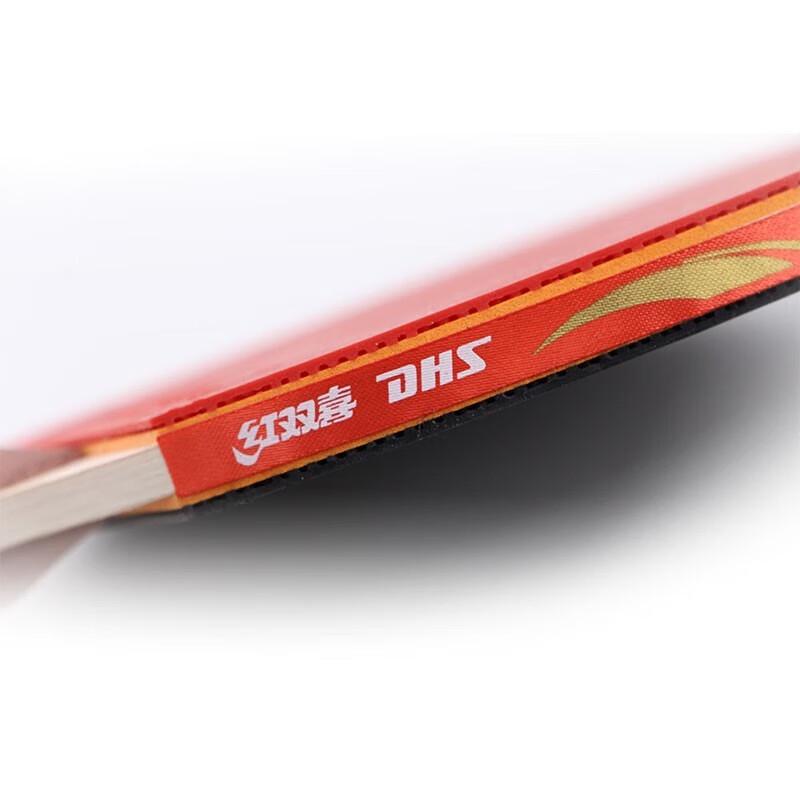DHS 2-Star Shakehand Table Tennis Racket