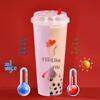 Qira Disposable Frosted Plastic Beverage Cups with Lids