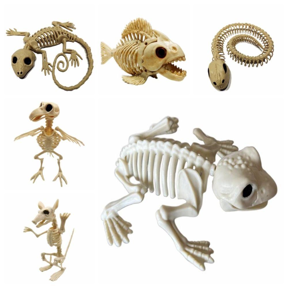 Schlange Halloween Fledermäuse Skelett Gruseliges Skelettmodell Halloween Tier Skelett Bar Hausdekoration