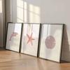 Set of 3 Pink Coastal Wall Art Prints,Dolphin Starfish Sand Dollar Poster Set,Minimal Ocean Beach Bathroom Decor kids room Decor