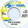 7inch Record BARRY BROWN  Stone Of The Arrival  Stone Dub DKR100 SnowbirdDigiki 1983 US Reggae Ska  Dub Used