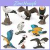 Realistic Pvc Bird Model Collection Including Snowy Owl Bald Eagle Macaw Static Figurines