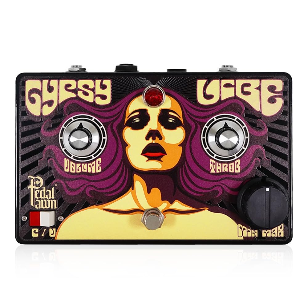 

Pedal Pawn GYPSY VIBE V2 adapter Univibe Chorus Vibrato Guitar Effector (18V included) /