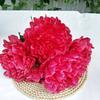 Silk Peony Oversized Flowers With Artificial Blooms For Wedding Decorations