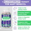 Nutrabud Melatonin 3mg Sleep Gummies For Men & Women, Natural Veg Supplement For Restful Deep Sleep - 60 Count Pack of 1