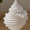 White Conch Shell Figurine, 3D Printed Nautical Coastal Tabletop Ornament for Living Room, TV Stand, Bookcase Shelf, Cabinet Decor