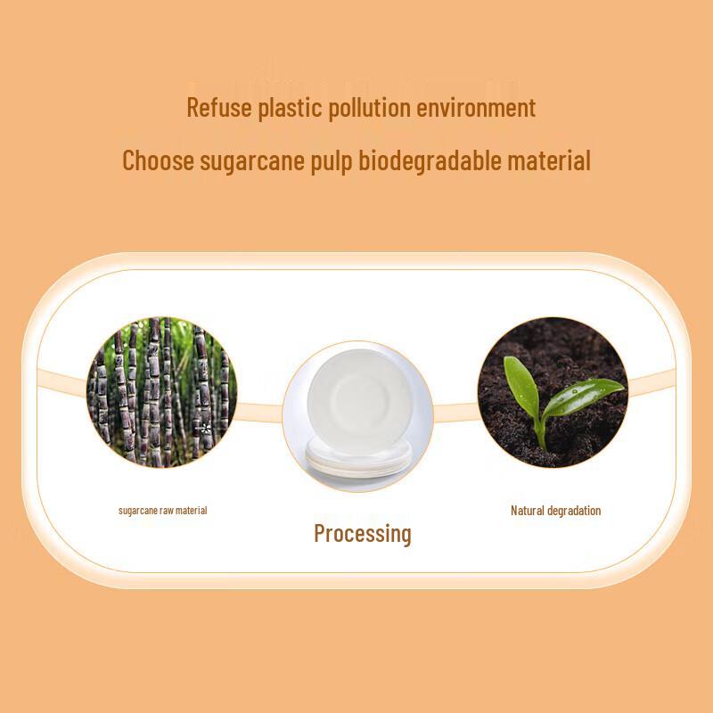 Kamille 6-Zoll Einweg-Pappteller