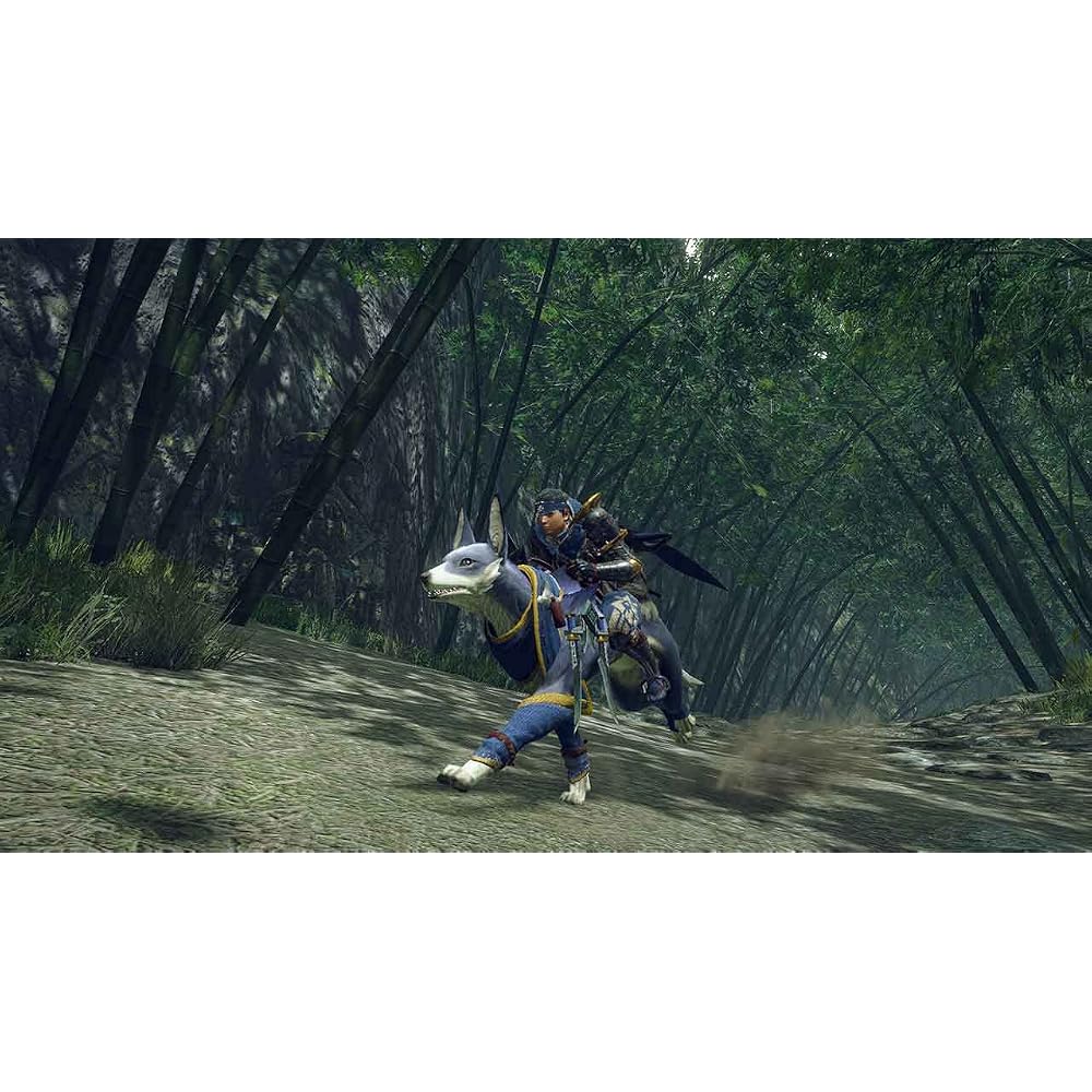 Monster Hunter Rise -Switch