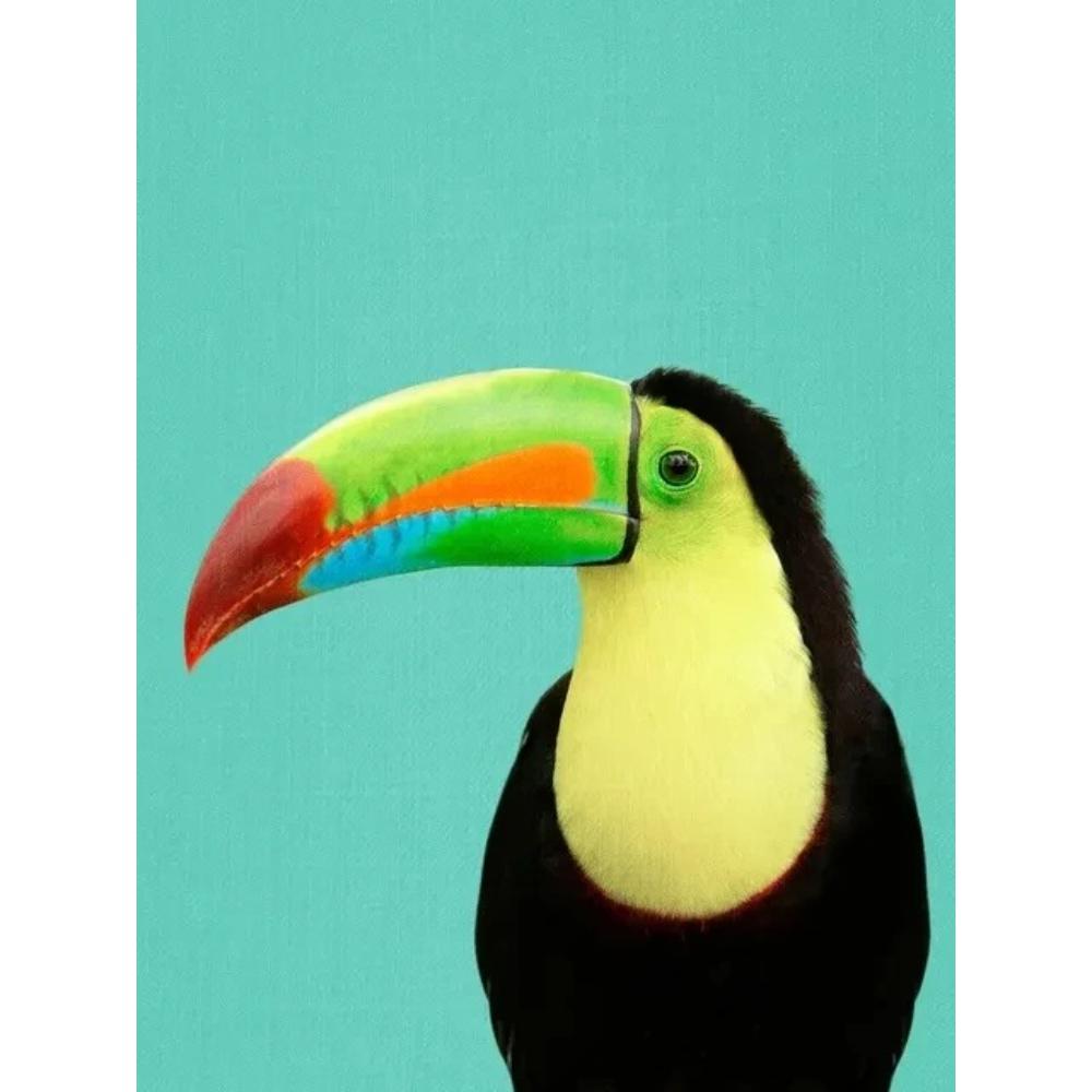 Tropical Plants Poster and Print Toucan Bird Flamingo Parrot Pineapple Canvas Painting Nordic Wall Art Picture Home Decor Cuadro
