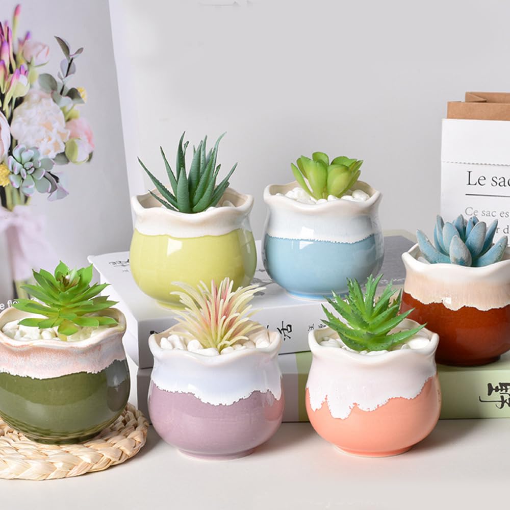 Set of 6 Succulent Cactus Bonsai Tabletop with Flower Ornamental Plant Housewarming Gift 6, Colors, Pot, 886.5cm, Small, Ceramic, Pot, Pot, Pot,