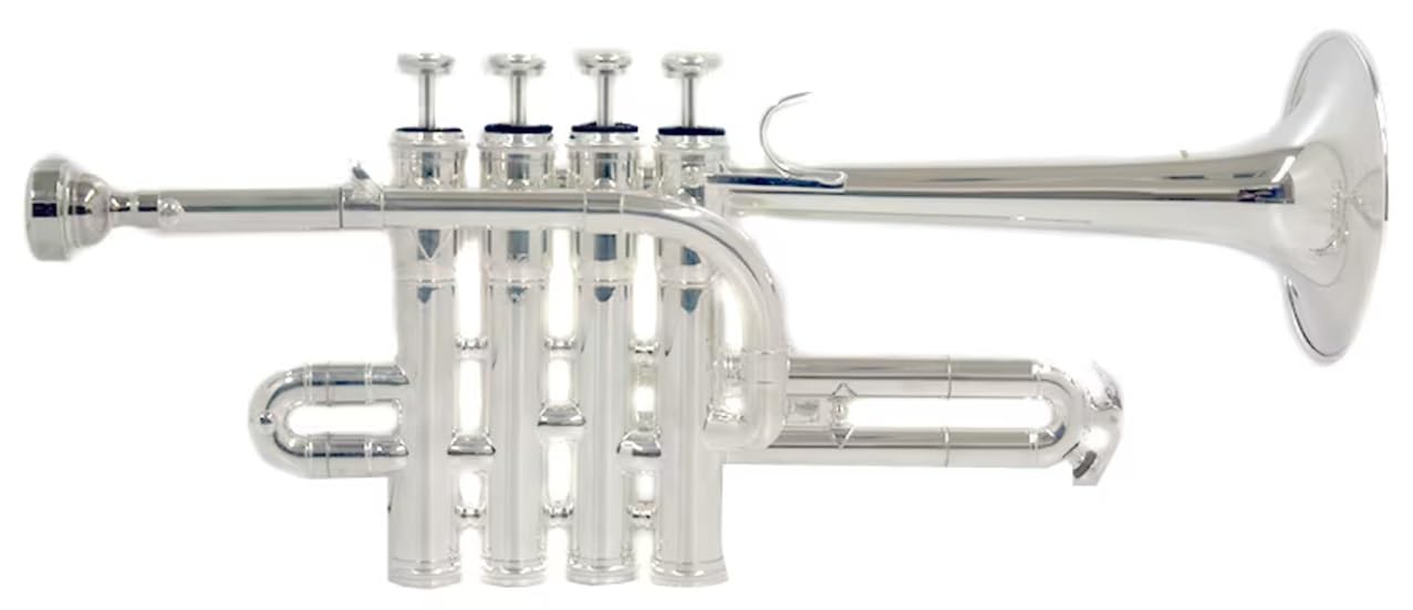 

PLAYTECH Piccolo Trumpet [] PTTR-300P