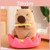 Cute Lucky Water Guinea Pig Plush Toy Funny Capybara Doll Sofa Cushion Lotus Seat Cushion Birthday Gift 30cm/40cm