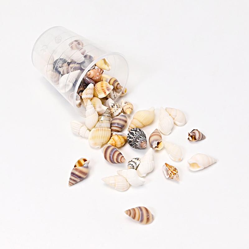 

1 Набор DIY Аксессуары DIY Материалы для ювелирных изделий Ландшафтный дизайн аквариума Миниатюрные ракушки Мини-ракушки Океанский стиль Разные
