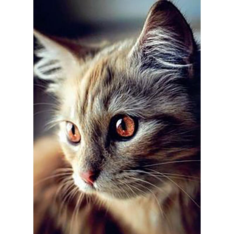 DIY Cat 5D Diamond Painting Full Round Drill Rhinestones Animals Diamond Embroidery Cross Stitch Mosaic Hobby Gift Home Decor