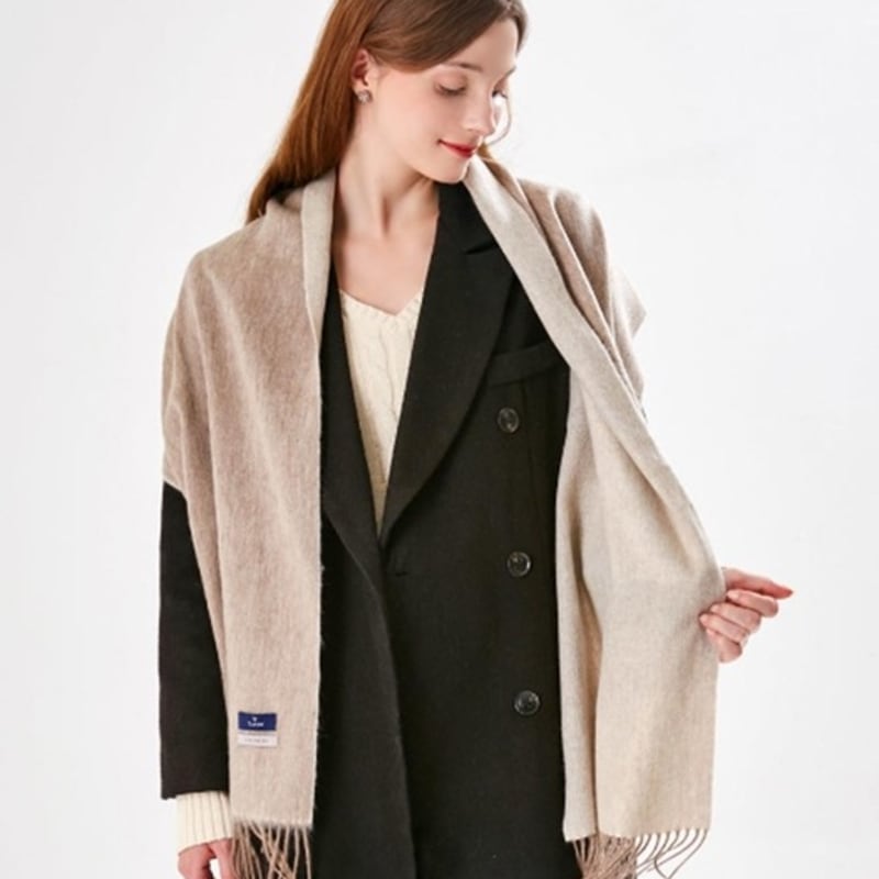 TANDY Solder Muffler LMTD2001