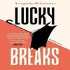 Lucky Breaks by Yevgenia Belorusets Paperback Book 9781782278726