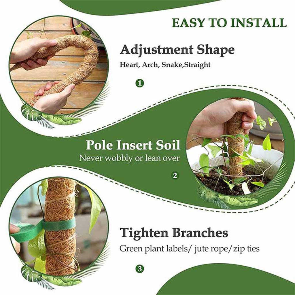 Plant Moss Poles For Indoor Plants Climbing Support Moss Poles DIY Modeling Plants Rods