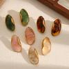 Resin Geometric Shape Earrings Stainless Steel  Ear Studs for Women Accessories