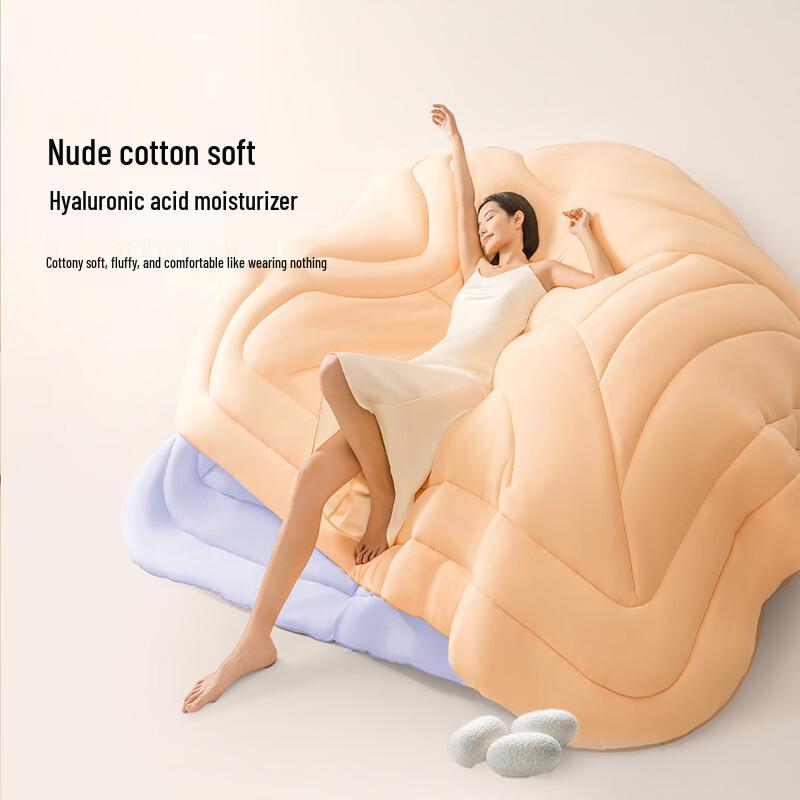 

Huisui Hug Quilt Pro Edition Four Seasons
