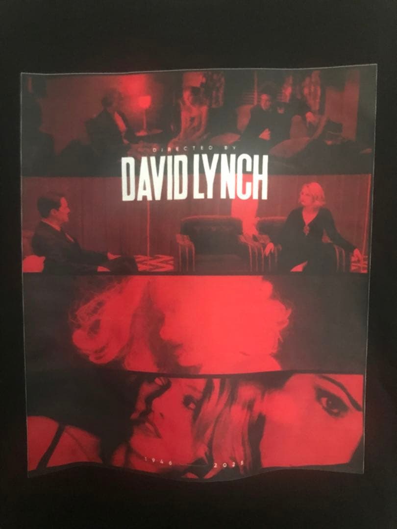 [USED] SHOOT GREEN DAY LIVE TOUR T-shirt