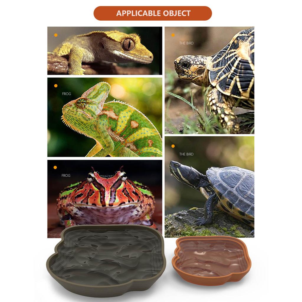 Stufendesign Reptilien Badeschale Kunststoff Terrarien Becken für Schildkröten Eidechsen Fütterung Einweichen Badepool mit Rampen