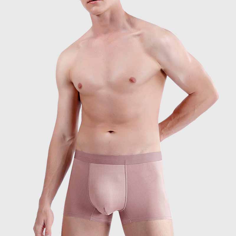 Mens Boxer Shorts Ice Silk Men Panties Seamless Underwear Man Underpants Panties Male Ultra-thin Breathable Briefs