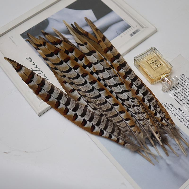 Pheasant Feather Long Plumes for Peking Opera Performance - Sun Wukong Theme