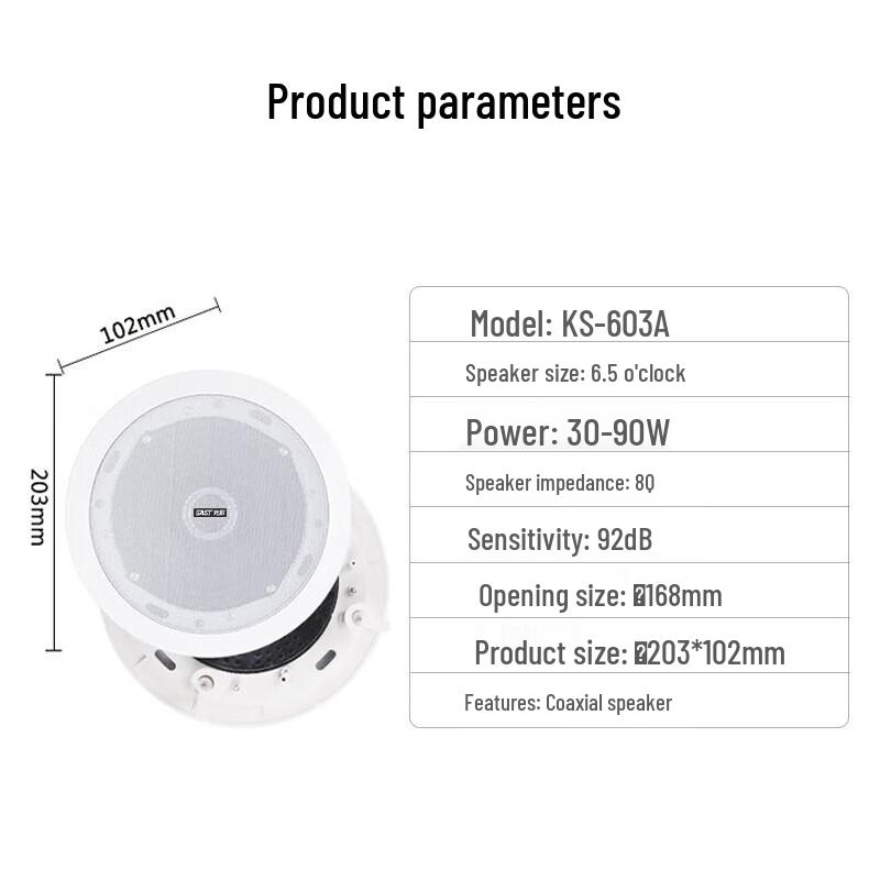 SAST 6.5-inch Coaxial Hi-Fi Ceiling Speaker System