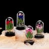 Eternal Flower Glass Dome Night Light - Gold Foil Butterfly Rose & Dried Flower Table Decoration