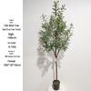 Olive Tree Potted Plant - Indoor Decor Simulation for Living Room