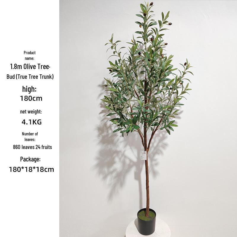 Olive Tree Potted Plant - Indoor Decor Simulation for Living Room