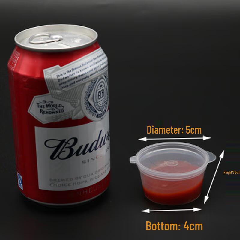 Disposable Hinged Sauce Containers with Lids