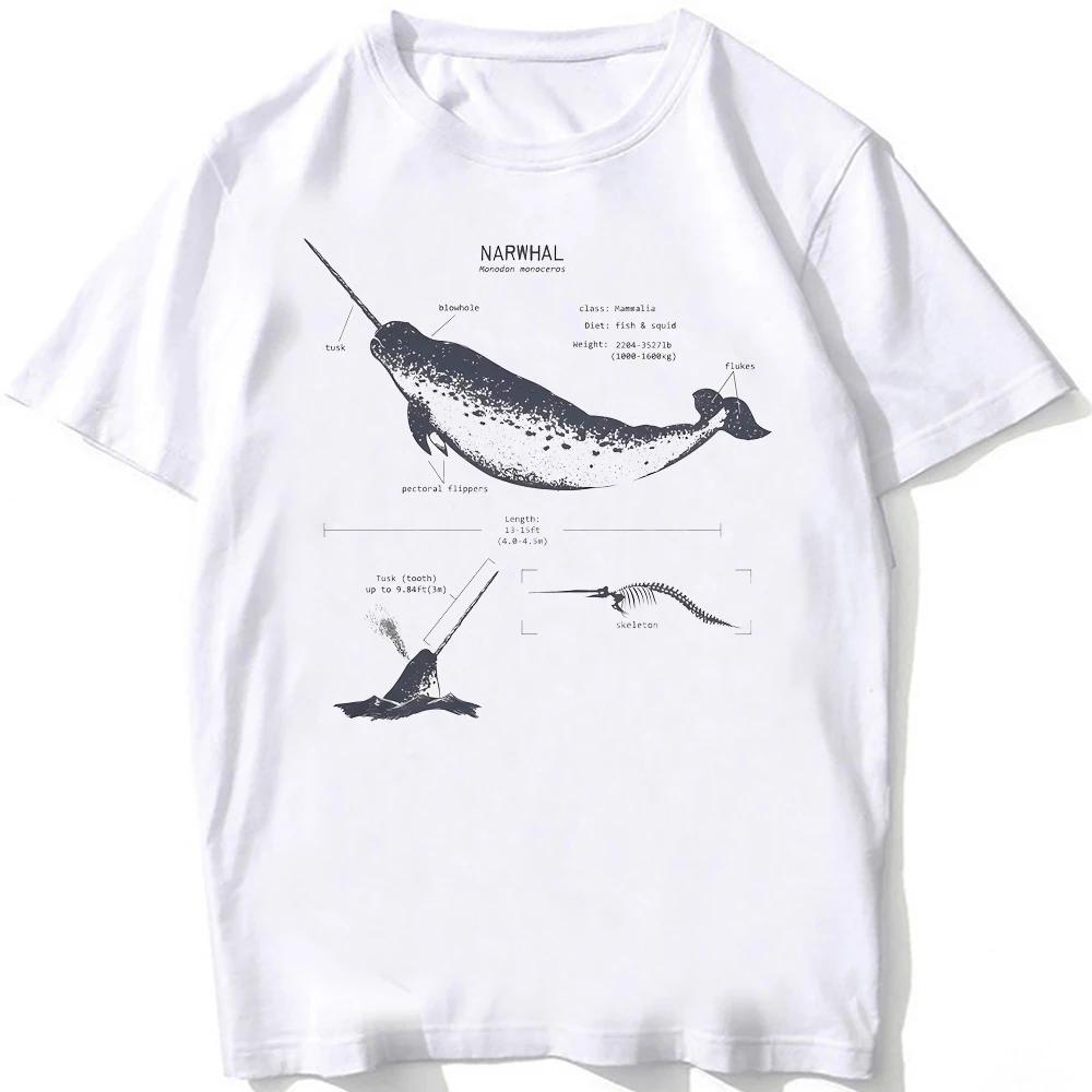 Women Beach Diving White Tshirt Vintage Whale Shark Anatomy Biology Tshirt Women Casual T Shirts Aesthetic Clothes