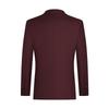 Seven Brand Men's Wool Blend Business Suit Set