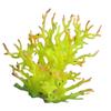 Water Plant Tree for Fish Tanks Aquarium Decorations Beautiful Appearance Artificial Plant Tree Multicolored Coral