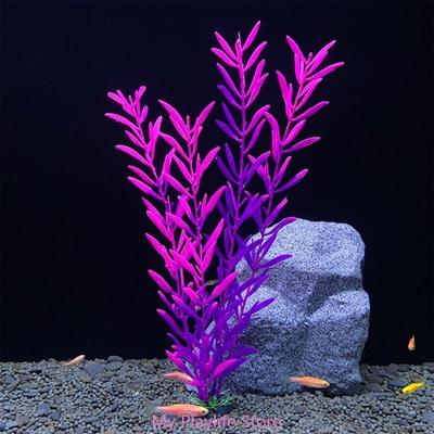 Fische & Meerestiere – Aquarien-Einrichtung