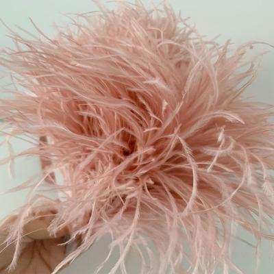 Feather1 Meter 8-10cm Real Ostrich Feather Trim Lace Ribbon Long Ostrich Feather Trims Fringe for Clothing Sewing Accessories
