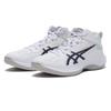 Asics Gel Hoop V17 White Blue 1063a096.104 White Blue