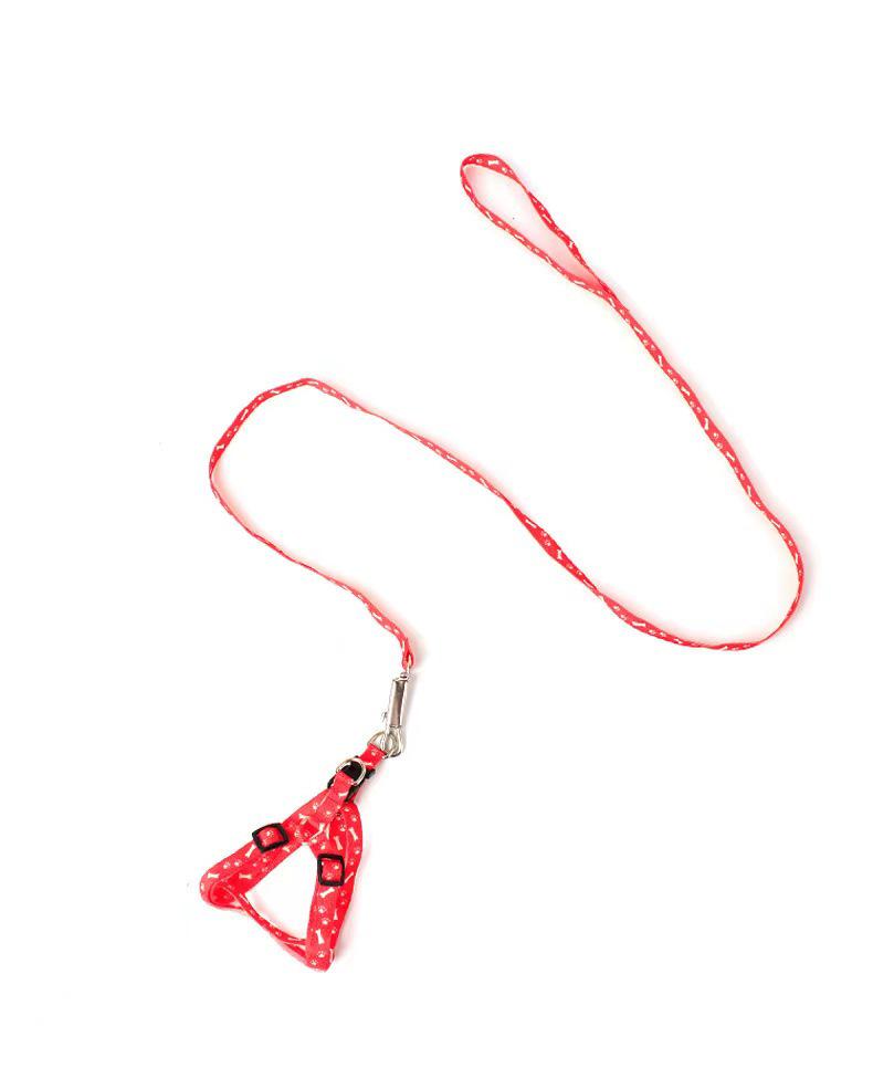 Polyester Printed Dog Leash - Free Shipping