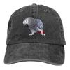 Casquette de Baseball pour Perroquet Gris d'Afrique en Jean Délavé Réglable Protection Solaire Casquette Unisexe Décontractée