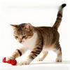 Gatos – Brinquedos para gatos