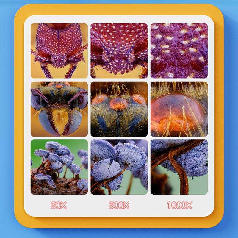 Zabawka Naukowa 2-calowy Kolorowy Ekran Cyfrowy Mikroskop Dla Dzieci 500-1000X Kamera Ręczne Urządzenie Powiększające LED