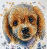Kit de broderie - Chiot