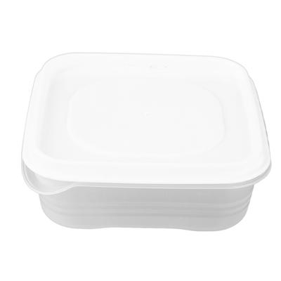 Kitchen Plastic Food Storage Container with Airtight Lid Reusable Refrigerator Fruit Vegetable Meat