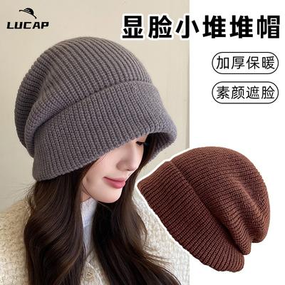 Hat Women's Autumn and Winter Knitted Hat Warm Versatile Fashion Wool Hat Fashion Face Small Pile Hat